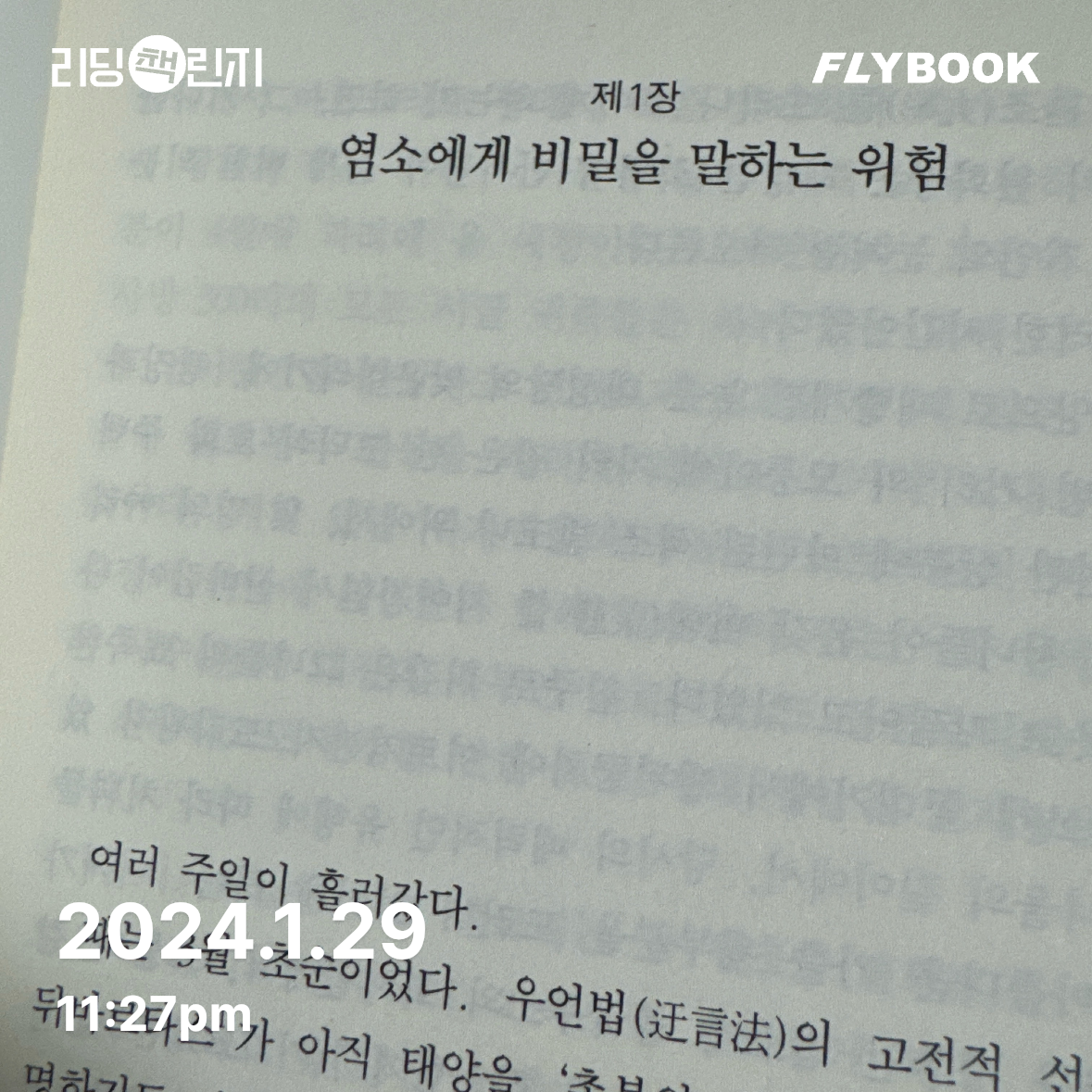 최은지님의 파리의 노트르담 1 게시물 이미지