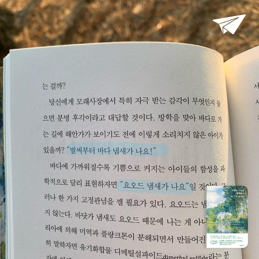 진희님의 자연이 우리를 행복하게 만들 수 있다면 게시물 이미지