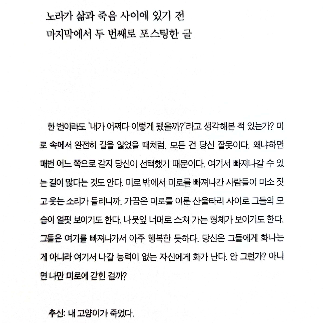 빵미나리님의 미드나잇 라이브러리 게시물 이미지