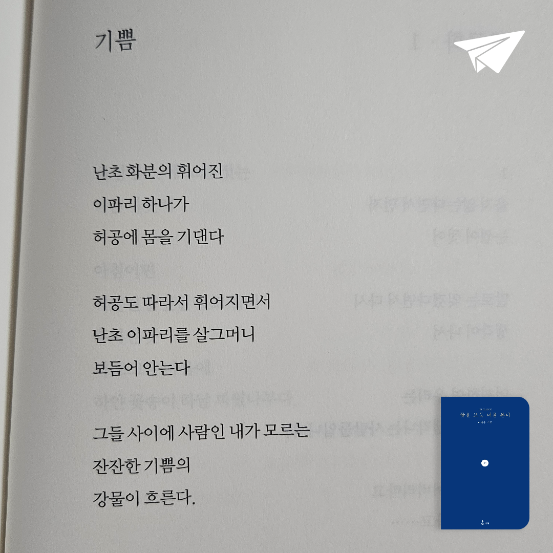 정님의 꽃을 보듯 너를 본다 게시물 이미지