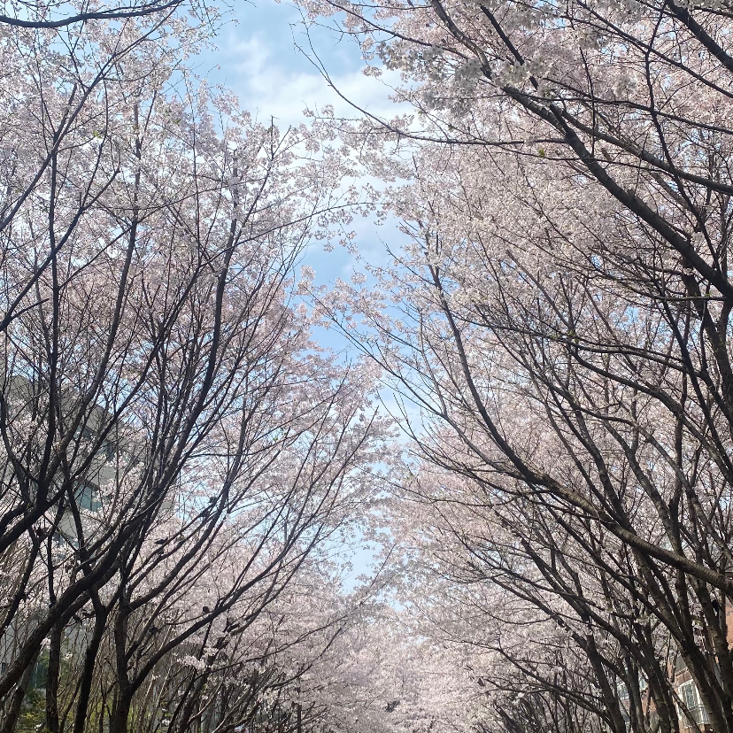 베리림님의 실어증입니다, 일하기싫어증 게시물 이미지