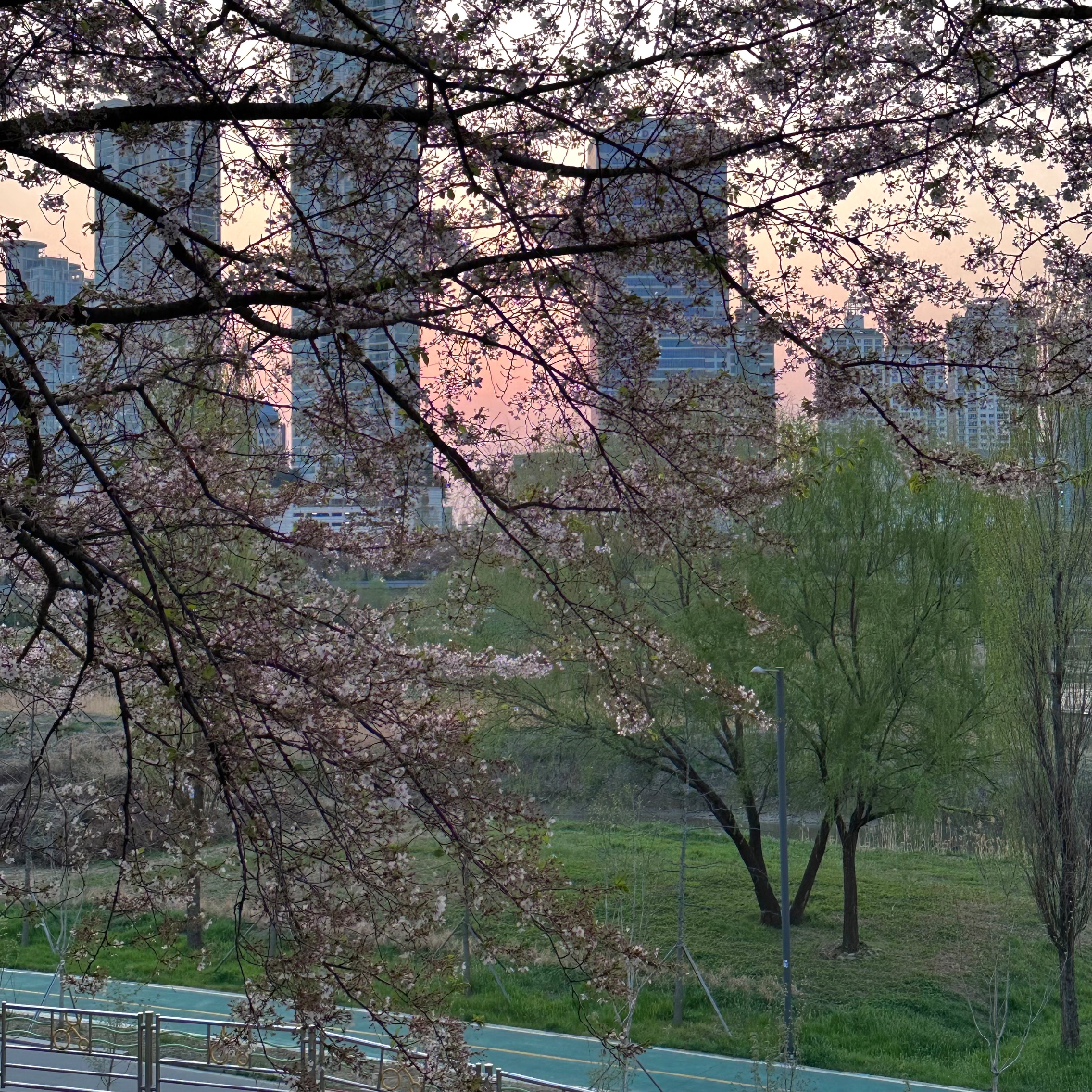 adela님의 게시물 이미지