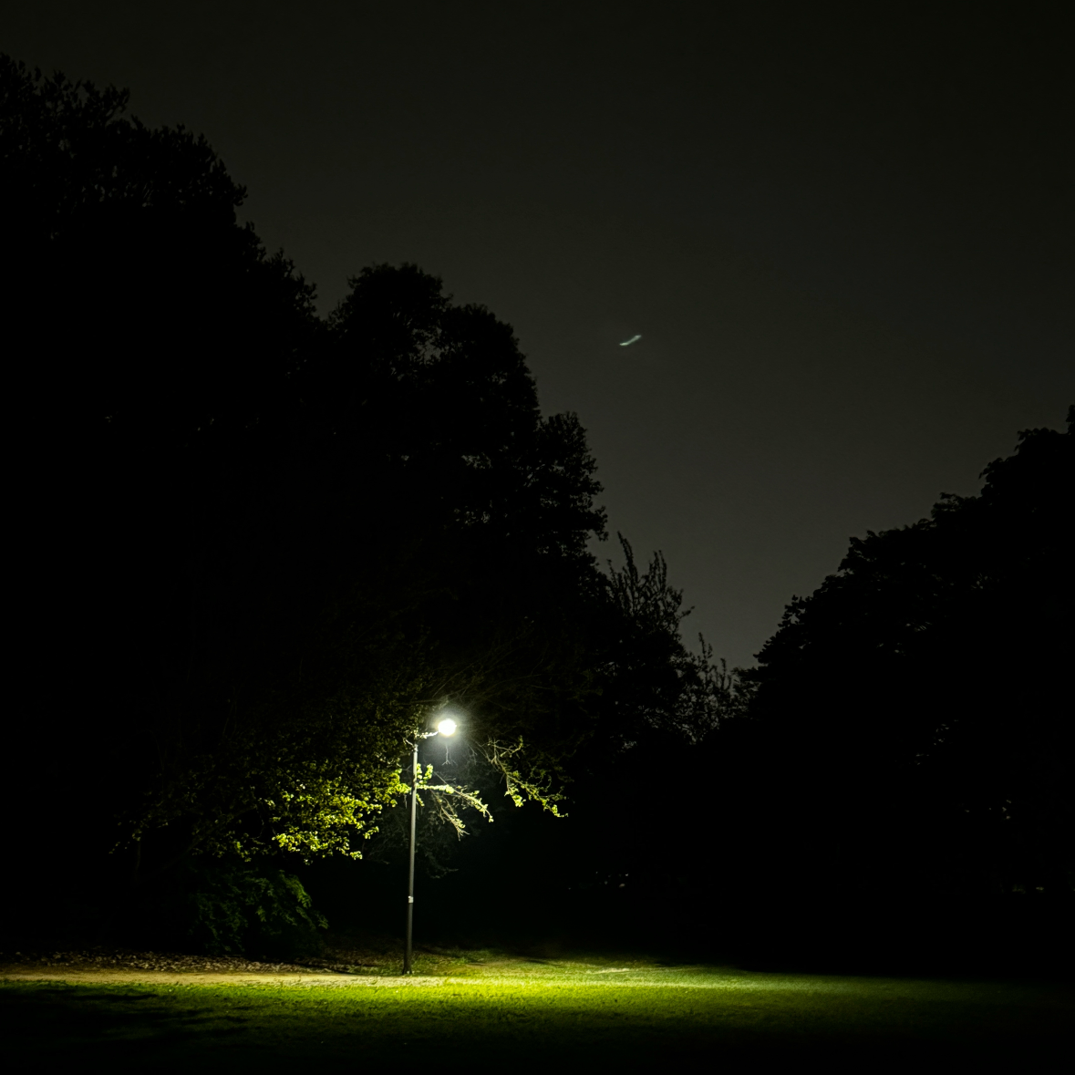 해리문님의 게시물 이미지