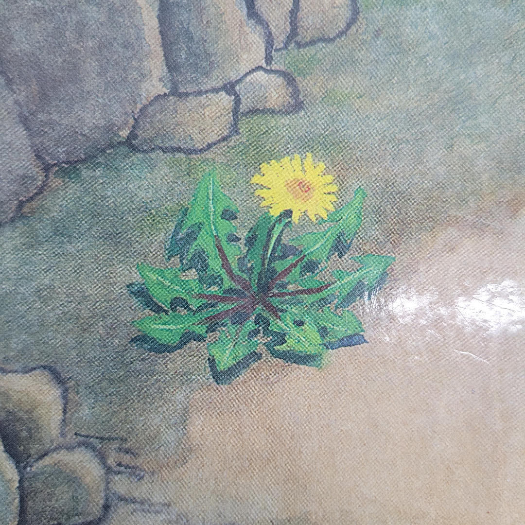 문책님의 강아지똥 게시물 이미지