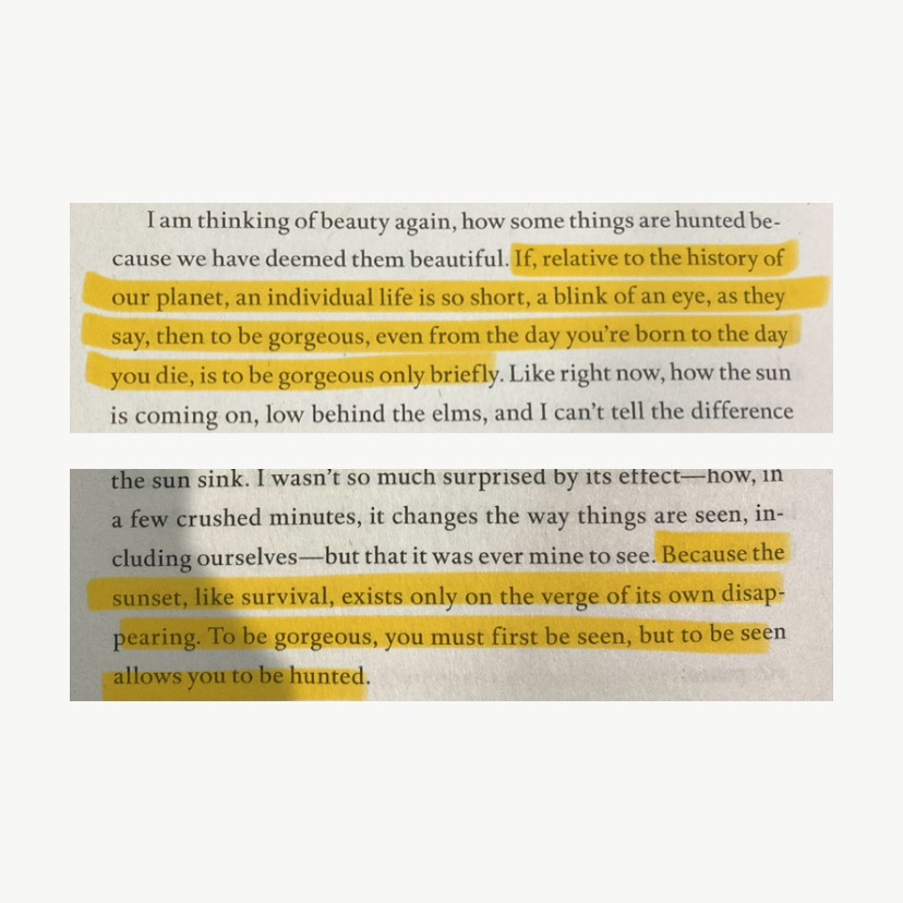 kezia님의 On Earth We’re Briefly Gorgeous 게시물 이미지