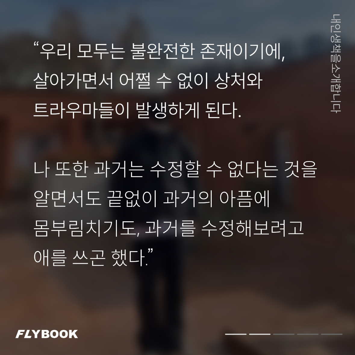 플라이북님의 리뷰 이미지 2