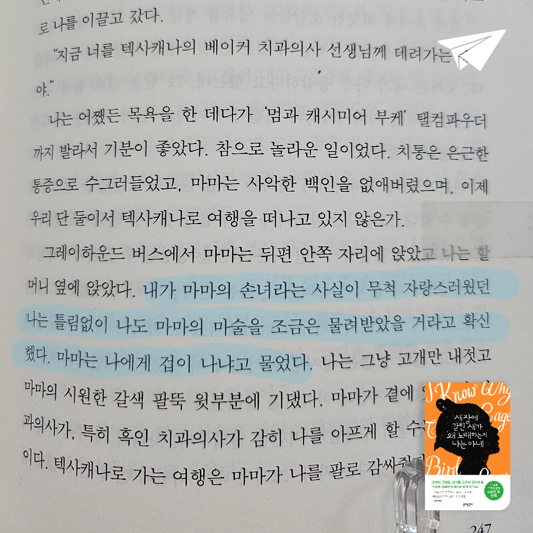 에버네버님의 새장에 갇힌 새가 왜 노래하는지 나는 아네 게시물 이미지