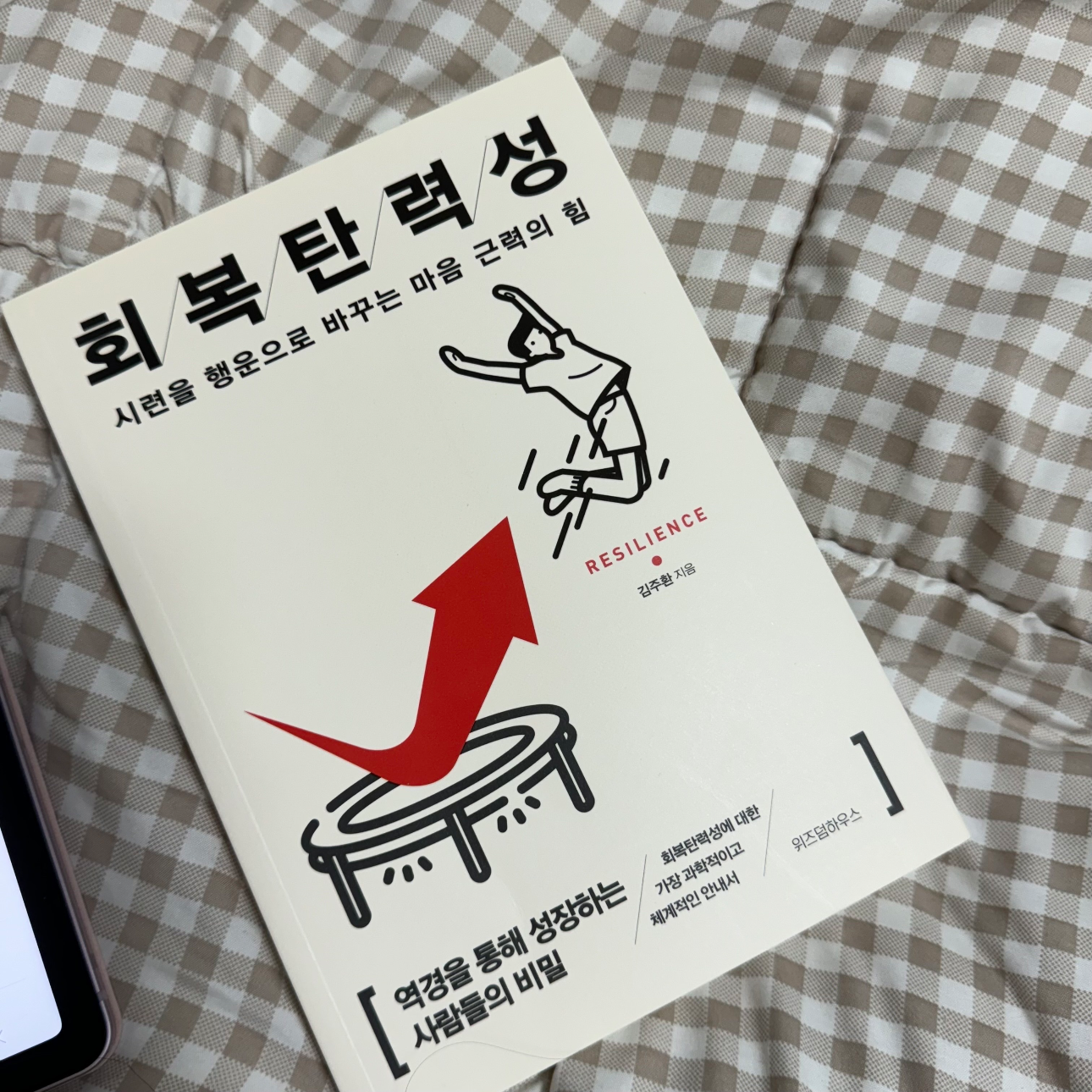 동글양님의 게시물 이미지