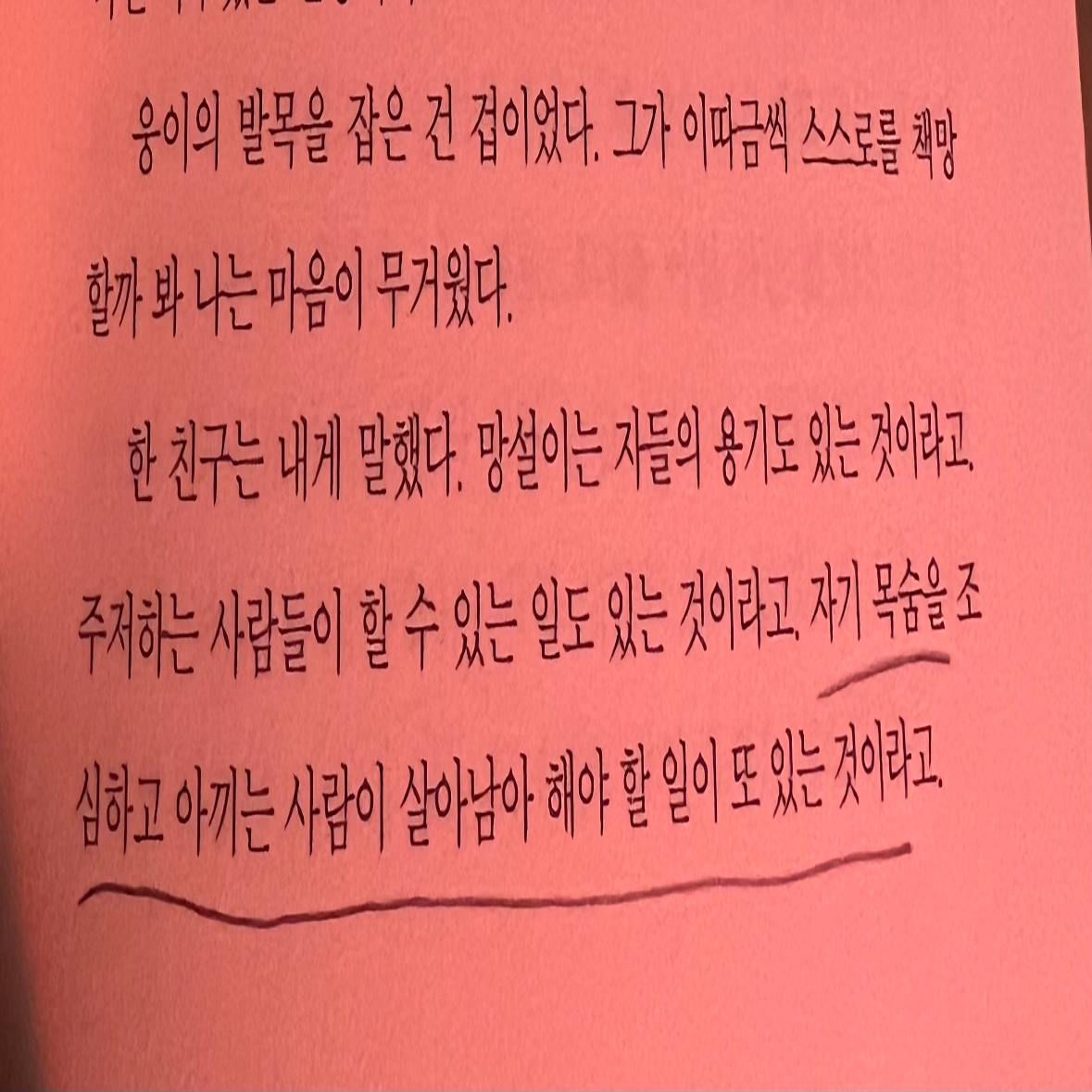 히둥님의 일간 이슬아 수필집 게시물 이미지