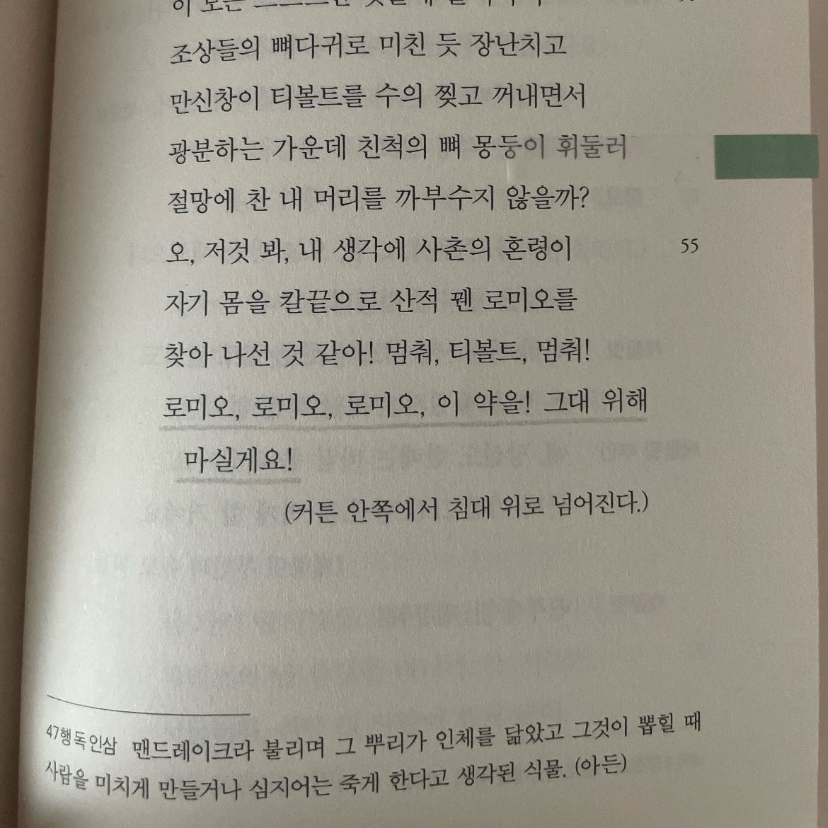 스리님의 로미오와 줄리엣 게시물 이미지