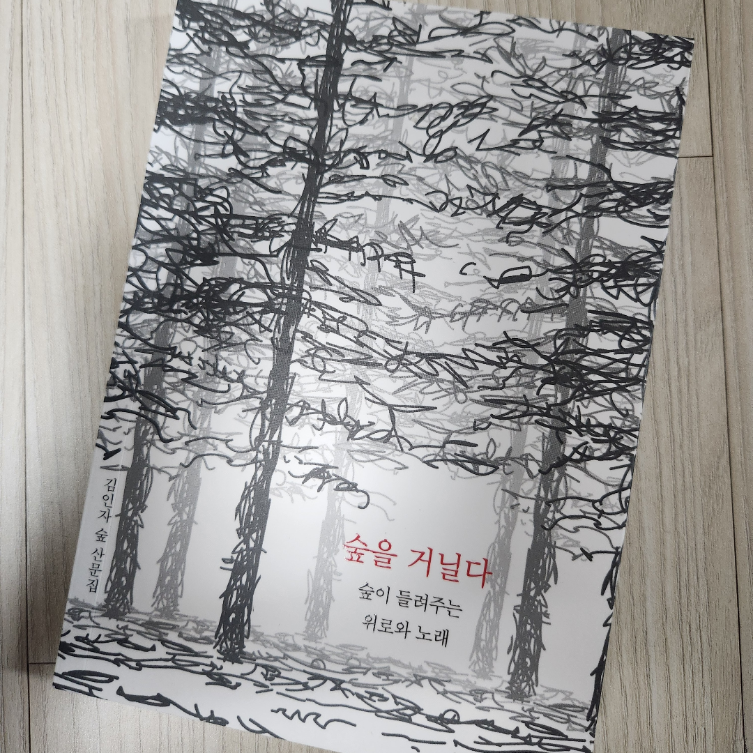 강지영님의 숲을 거닐다 게시물 이미지