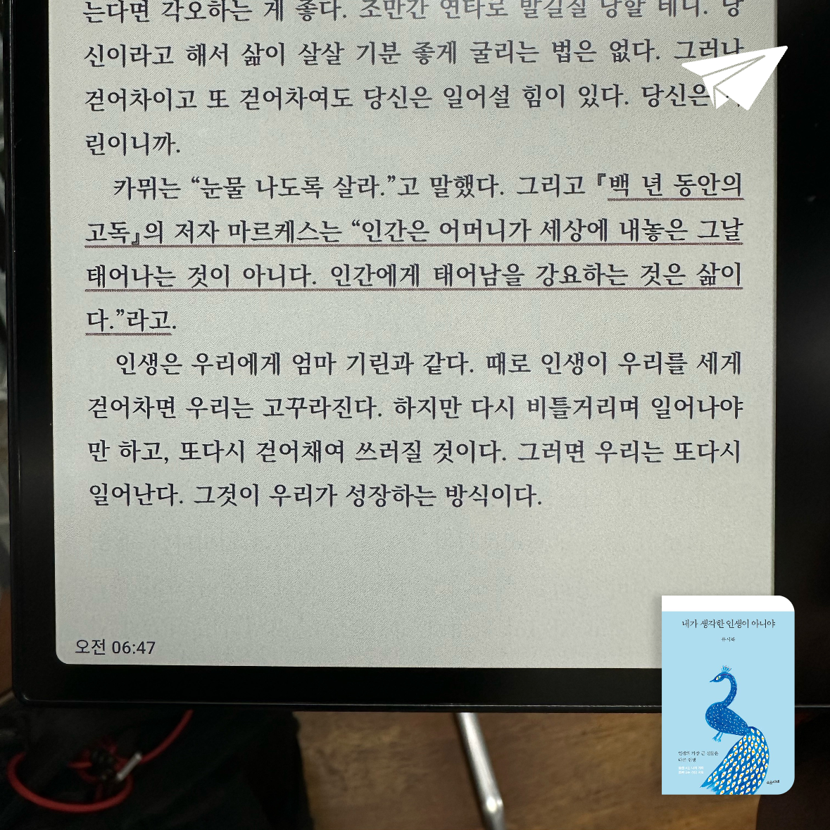 큰목소리님의 리뷰 이미지 0 - 내가 생각한 인생이 아니야 (인생의 가장 큰 선물은 다른 인생)