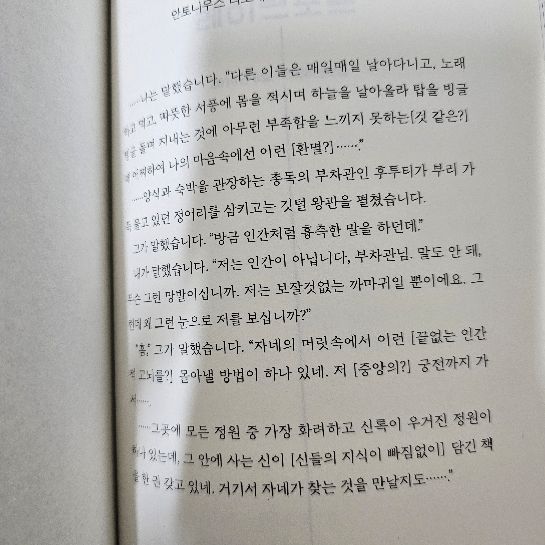 미래님의 클라우드 쿠쿠 랜드 게시물 이미지