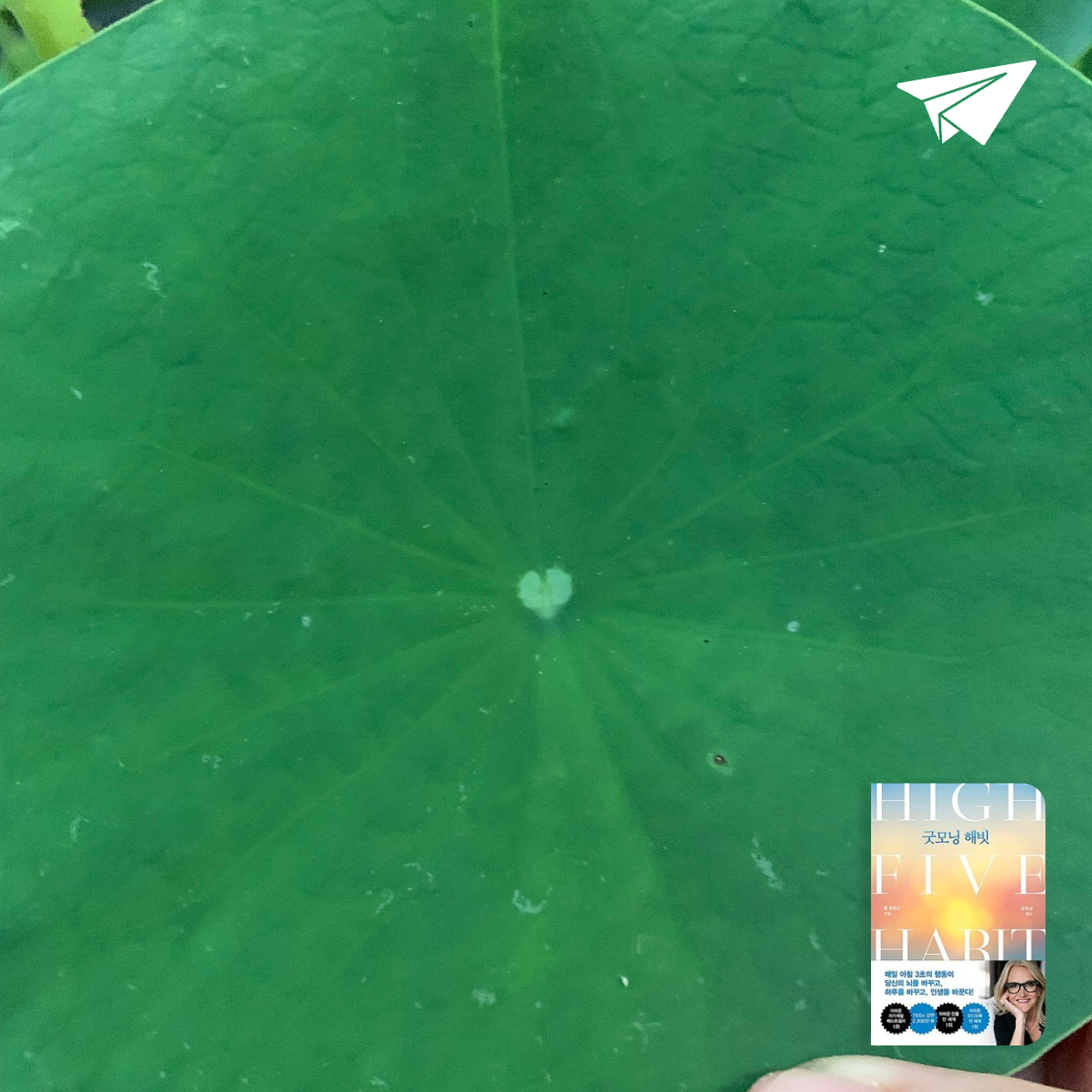 산더미북스님의 굿모닝 해빗 게시물 이미지