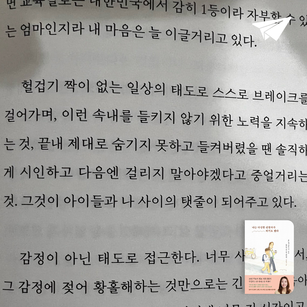 RIRA LEE님의 나는 다정한 관찰자가 되기로 했다 게시물 이미지