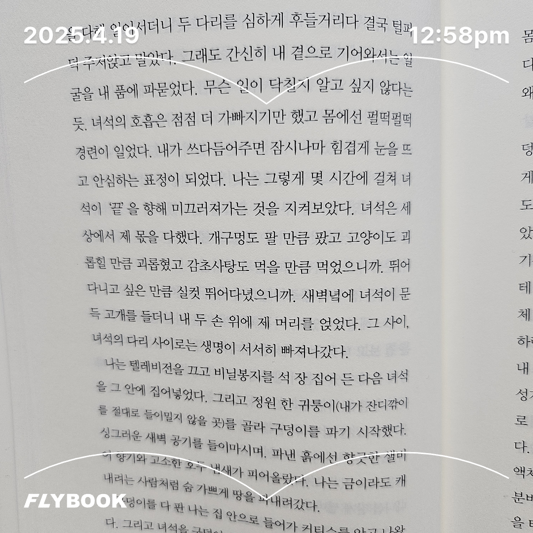 에버네버님의 이 책이 너와 나를 가깝게 할 수 있다면 게시물 이미지