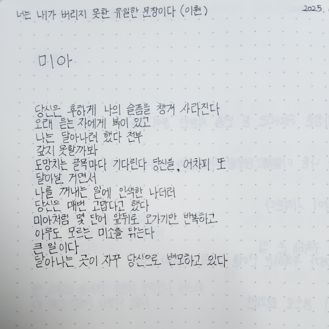 새봄새봄님의 너는 내가 버리지 못한 유일한 문장이다 게시물 이미지