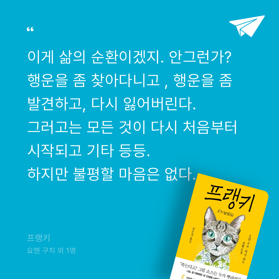 모르님의 프랭키 게시물 이미지