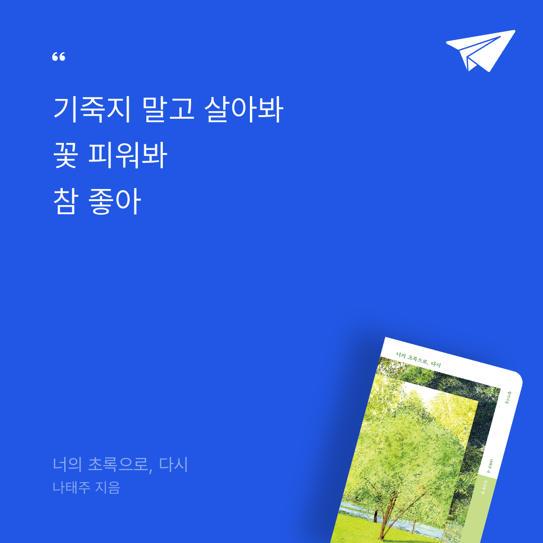 너나의7번째계절님의 너의 초록으로, 다시 게시물 이미지