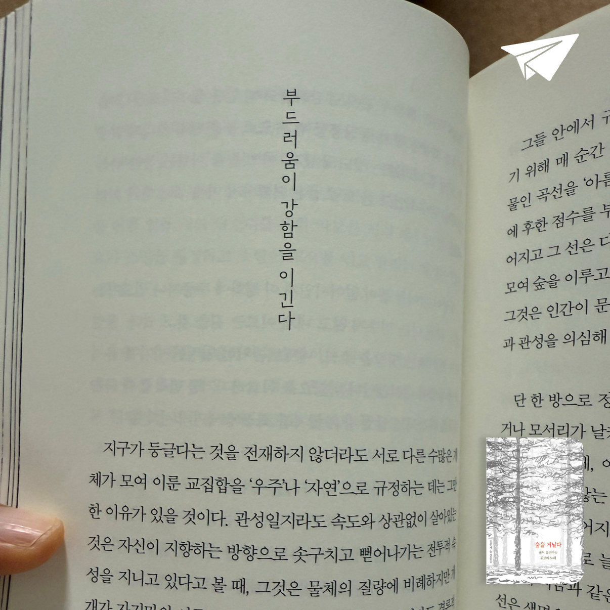 달렛님의 숲을 거닐다 게시물 이미지