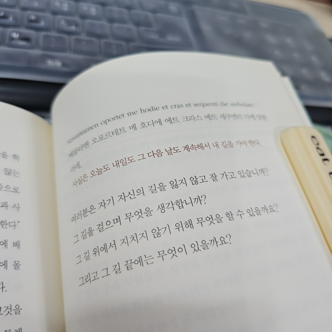 김나현님의 라틴어 수업 게시물 이미지