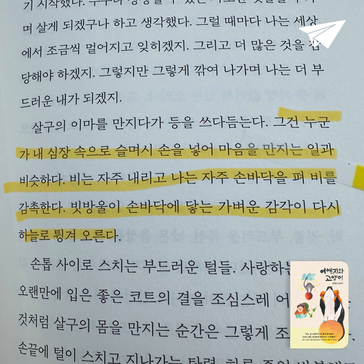 큰목소리님의 여행자와 고양이 게시물 이미지