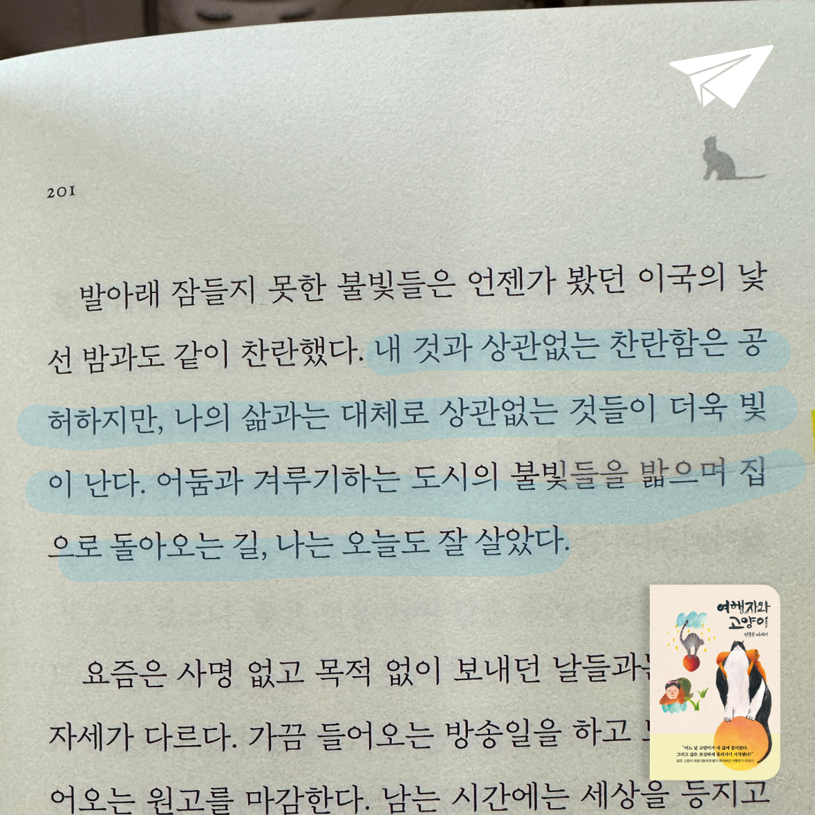 큰목소리님의 여행자와 고양이 게시물 이미지