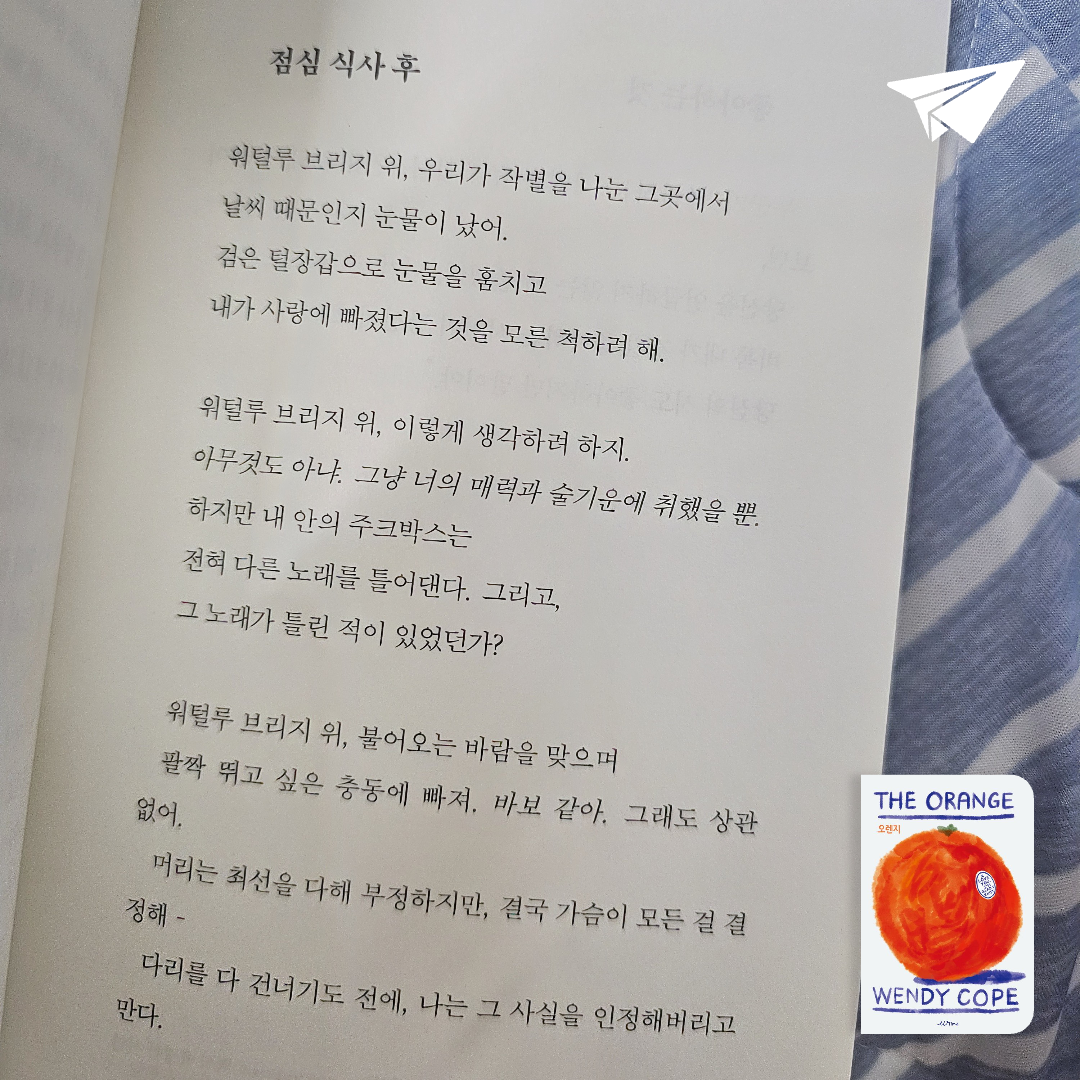 미래님의 오렌지 게시물 이미지