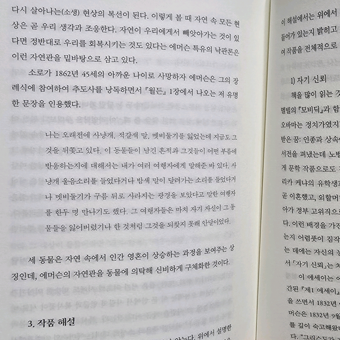 네오몽츄💛님의 자기 신뢰 게시물 이미지