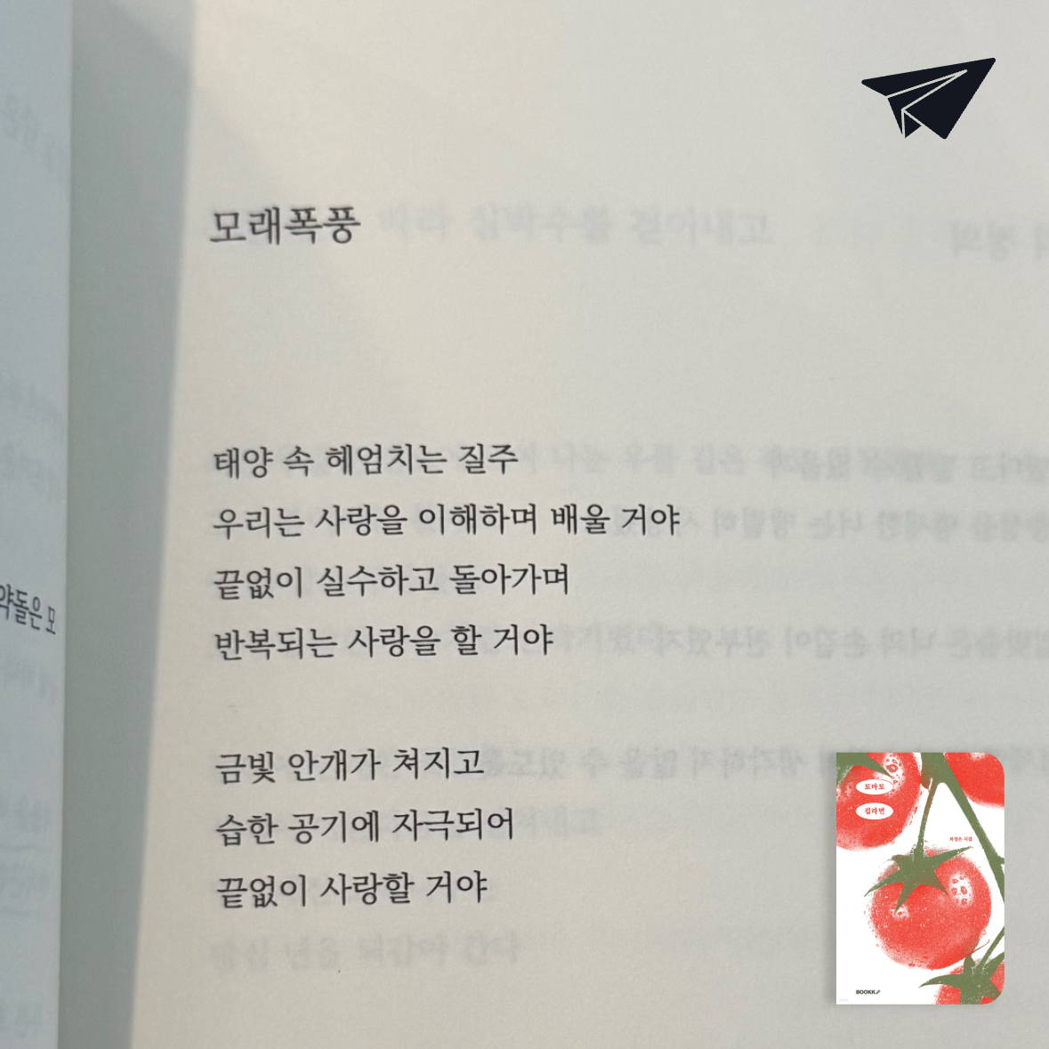 700님의 토마토 컵라면 게시물 이미지
