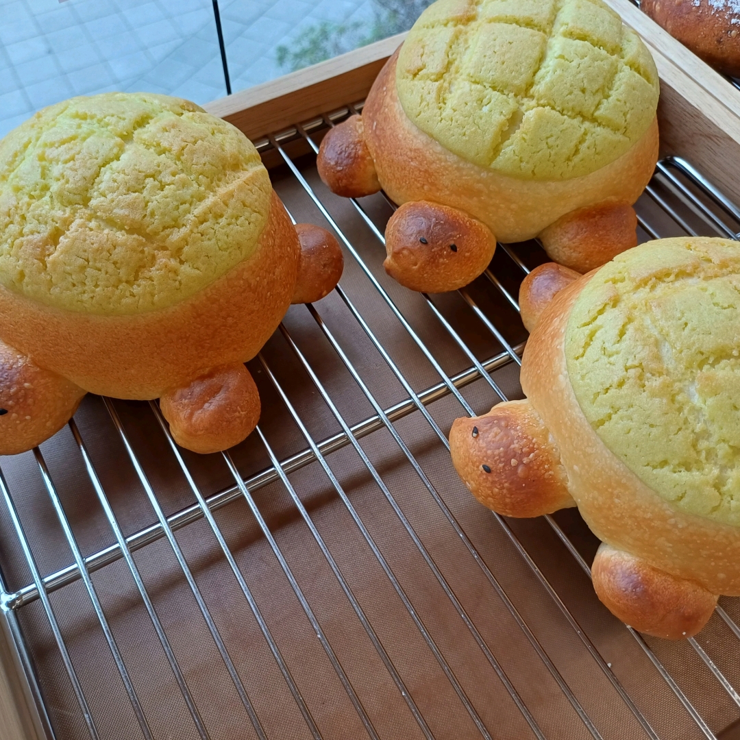 새벽빛님의 모모 게시물 이미지