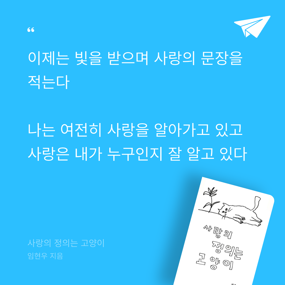 우주님의 사랑의 정의는 고양이 게시물 이미지