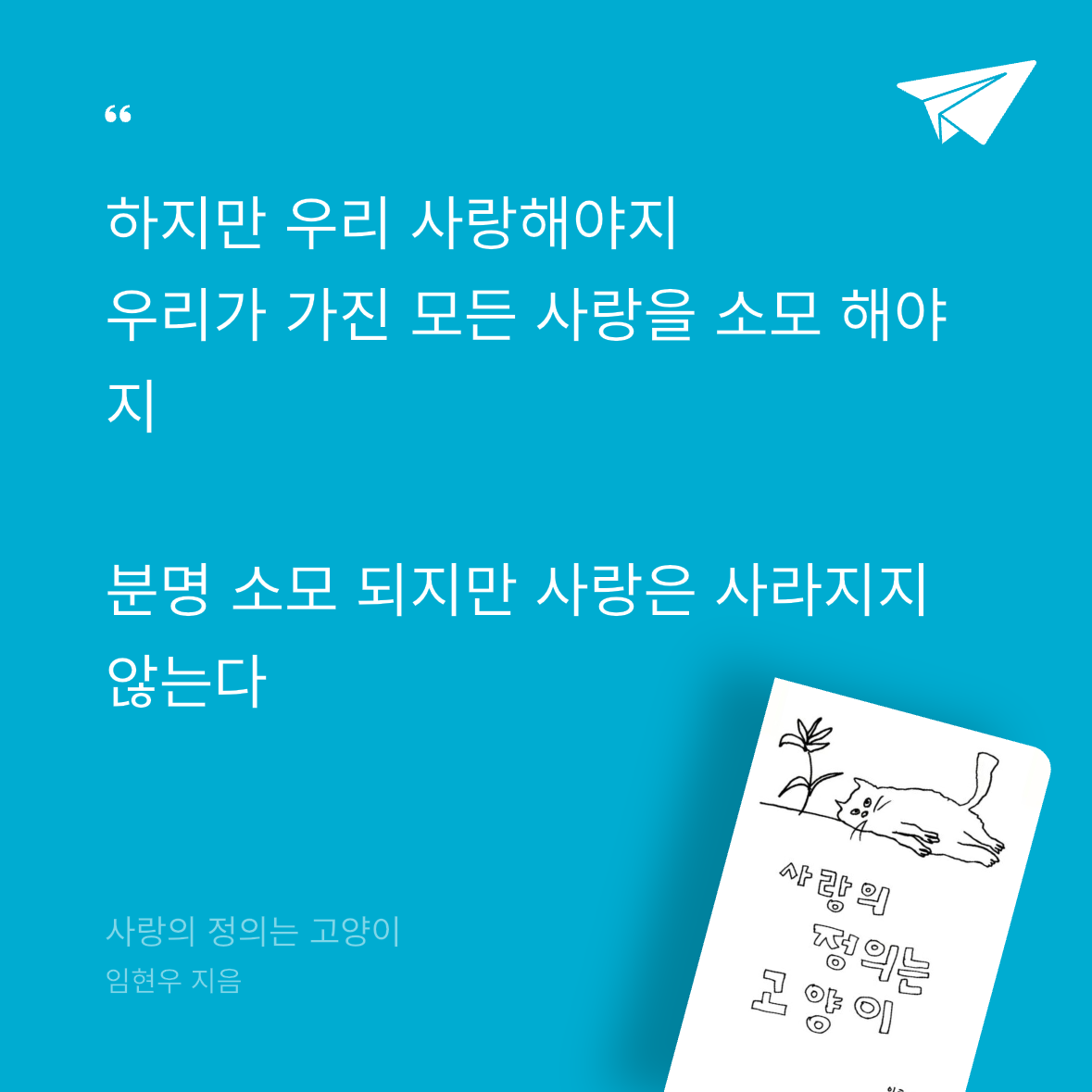 우주님의 사랑의 정의는 고양이 게시물 이미지