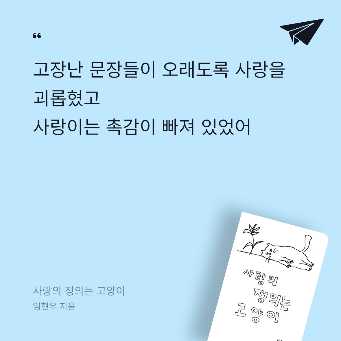 우주님의 사랑의 정의는 고양이 게시물 이미지