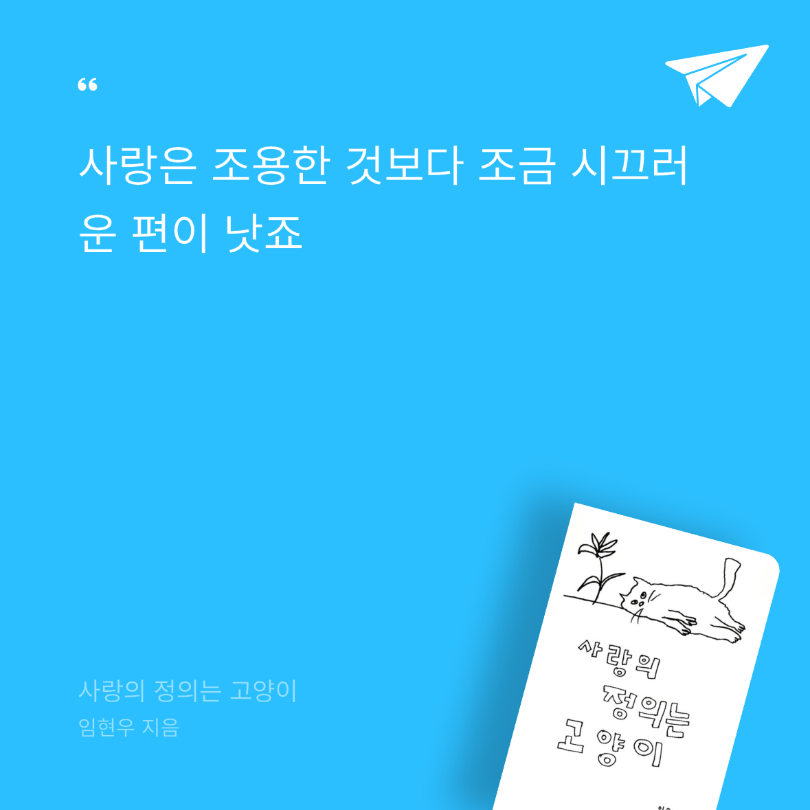 우주님의 사랑의 정의는 고양이 게시물 이미지