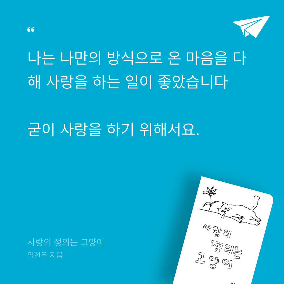 우주님의 사랑의 정의는 고양이 게시물 이미지