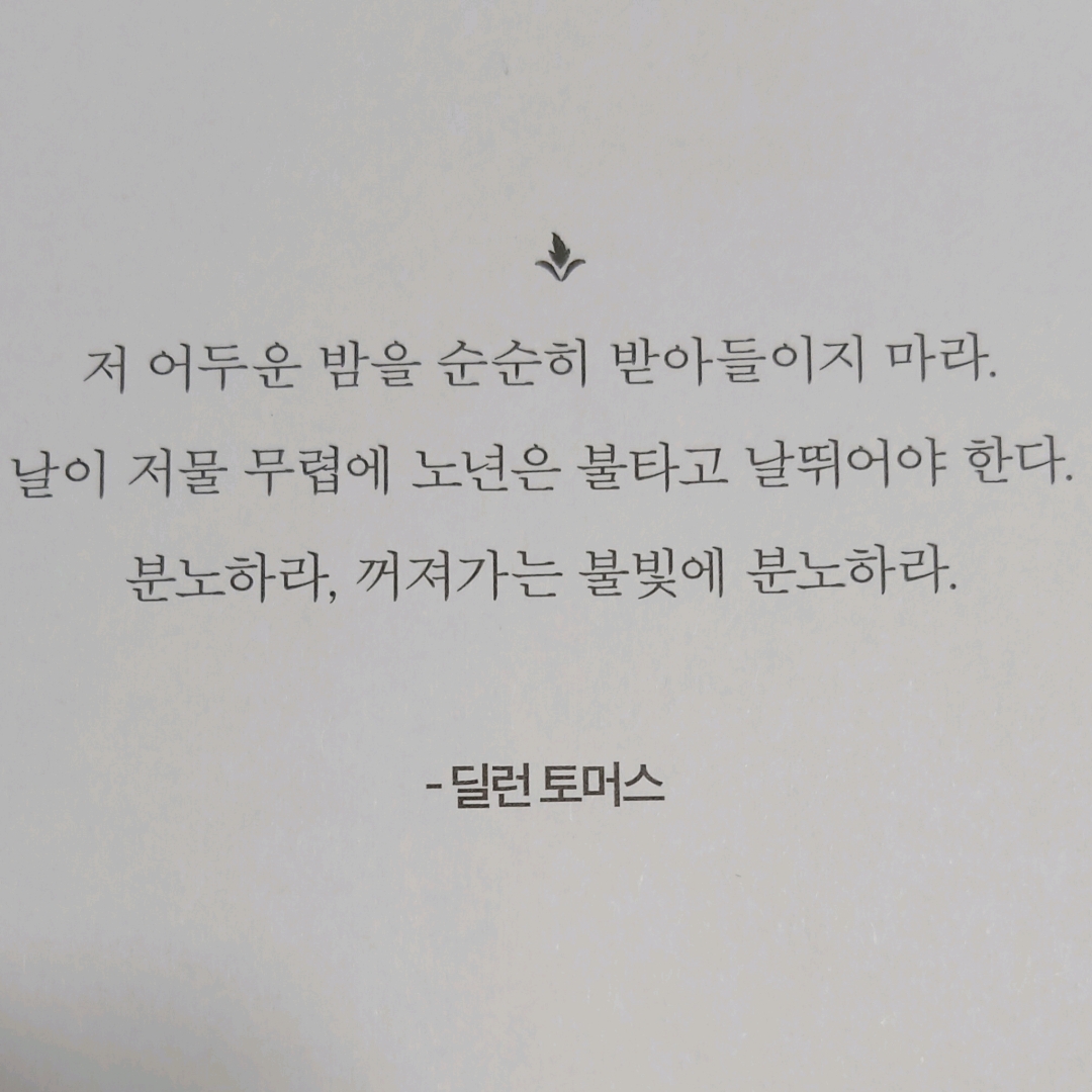 보라해님의 웬만해선 죽을 수 없는 최고령 사교 클럽 게시물 이미지