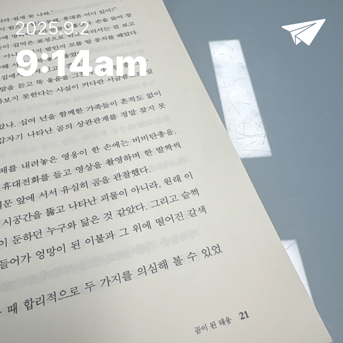 30509 임윤지님의 열다섯에 곰이라니 게시물 이미지