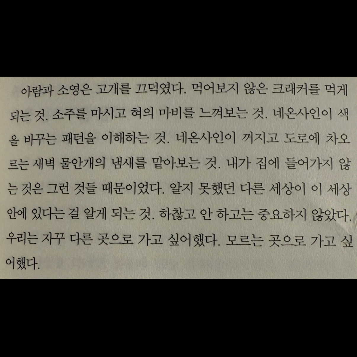 히둥님의 최선의 삶 게시물 이미지