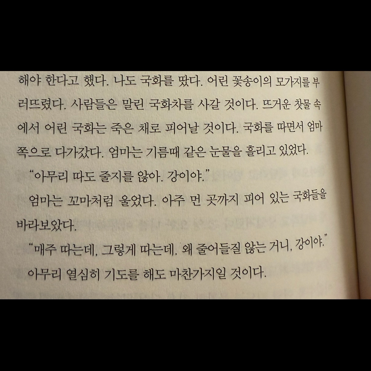 히둥님의 최선의 삶 게시물 이미지