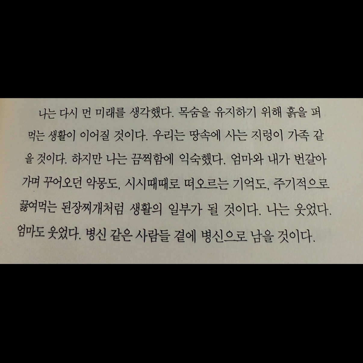 히둥님의 최선의 삶 게시물 이미지