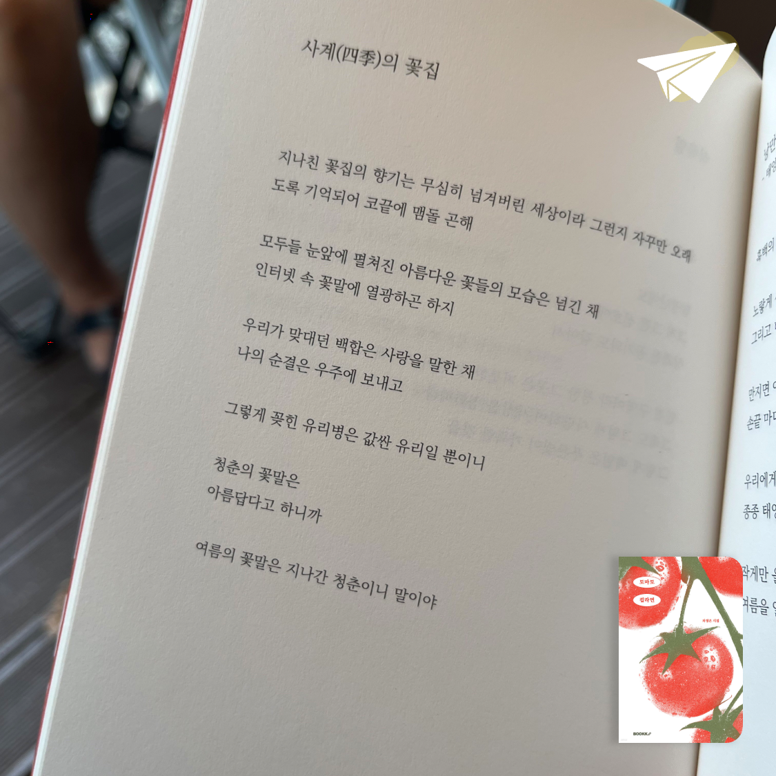 책읽는 무너님의 토마토 컵라면 게시물 이미지