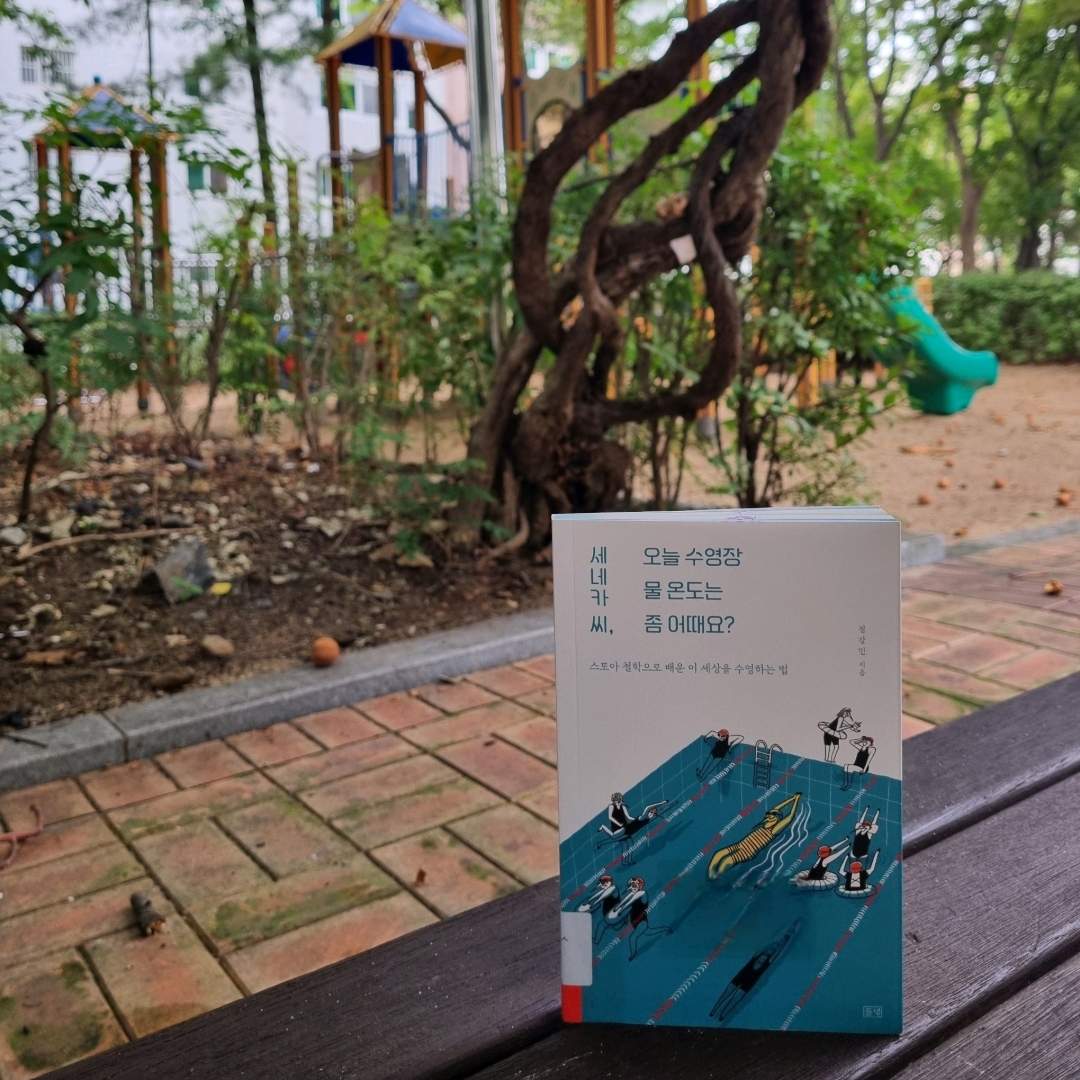 맛있는 하루님의 세네카 씨, 오늘 수영장 물 온도는 좀 어때요? 게시물 이미지