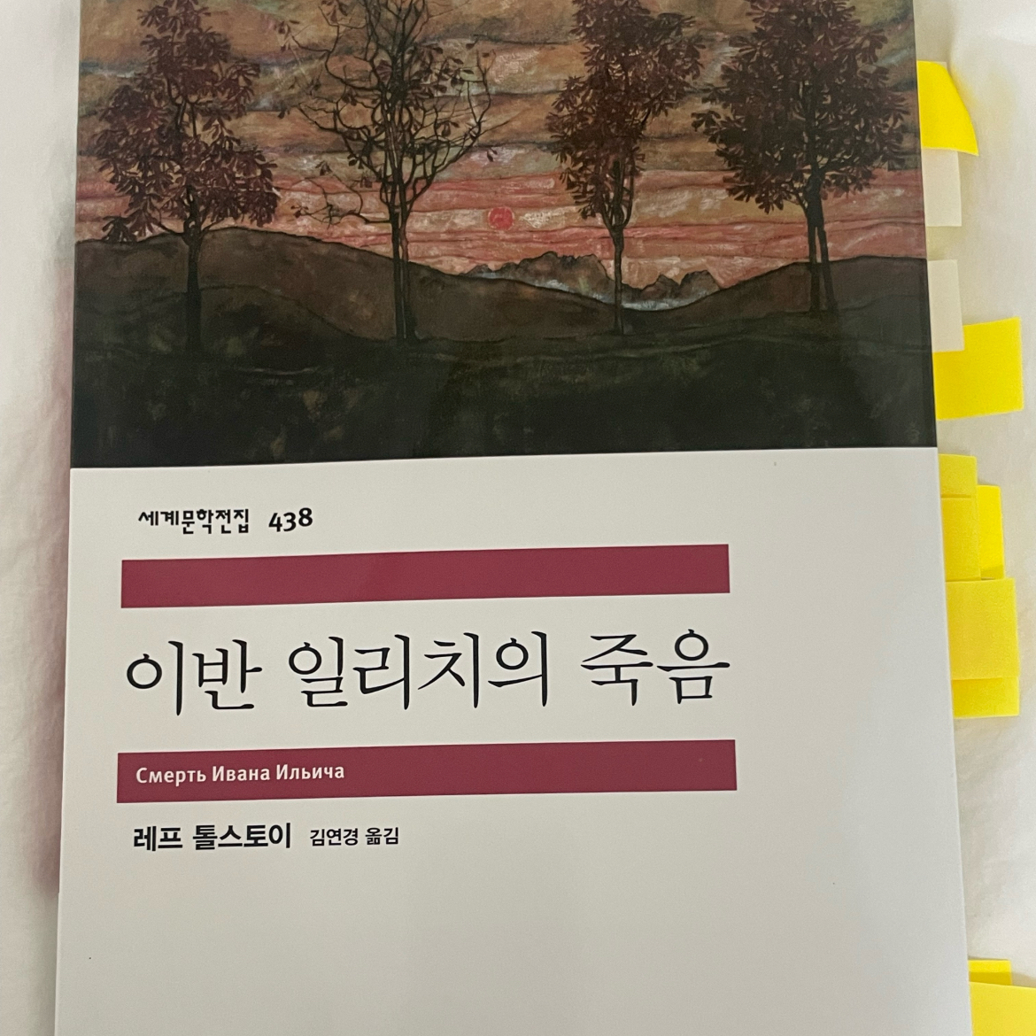 혀누님의 이반 일리치의 죽음 게시물 이미지