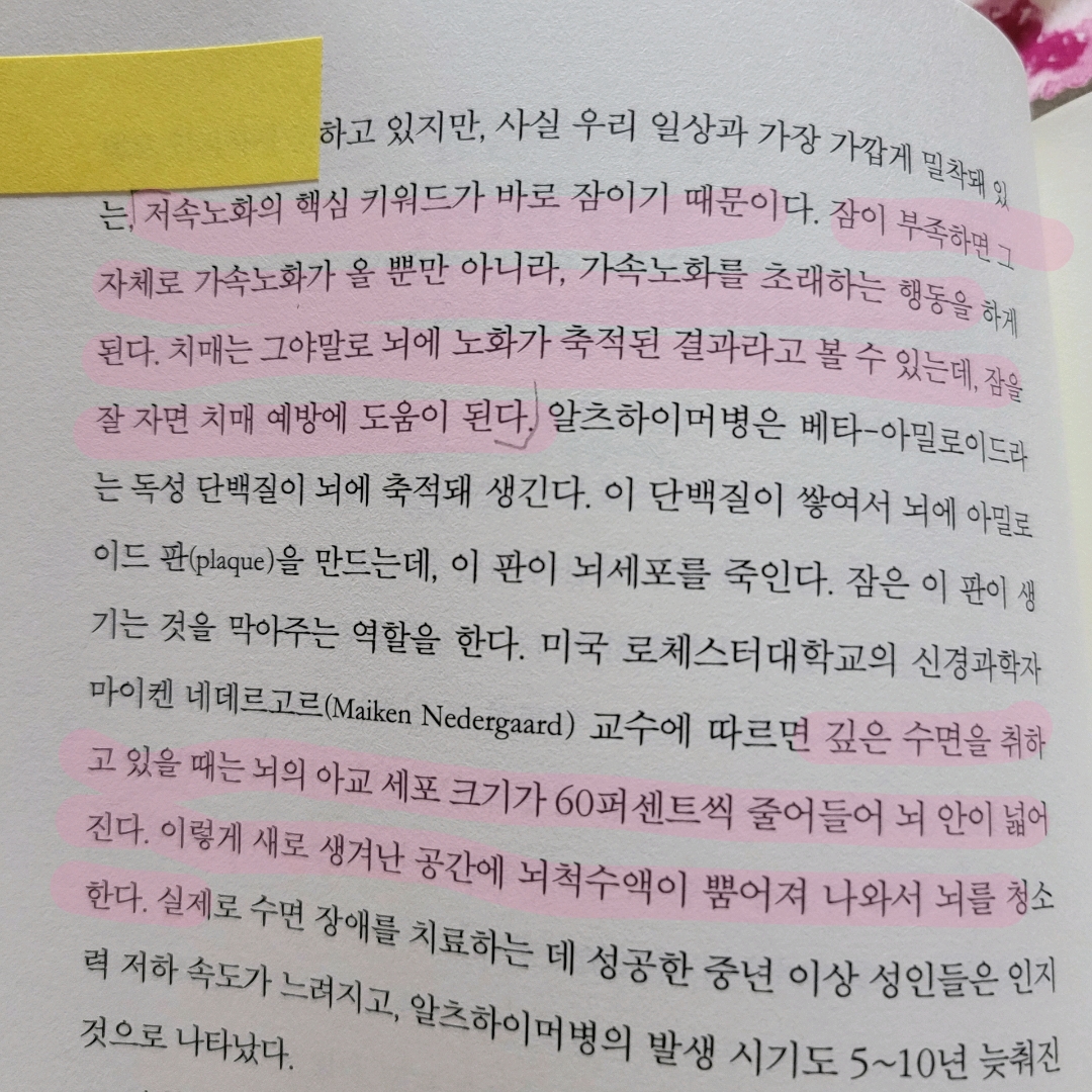 멋쟁이피노님의 저속노화 마인드셋 게시물 이미지