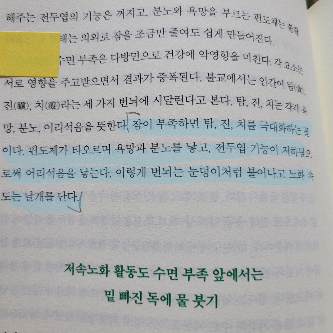 멋쟁이피노님의 저속노화 마인드셋 게시물 이미지