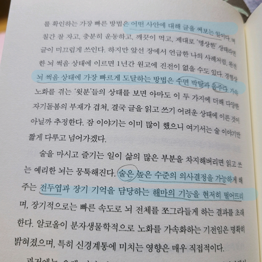 멋쟁이피노님의 게시물 이미지