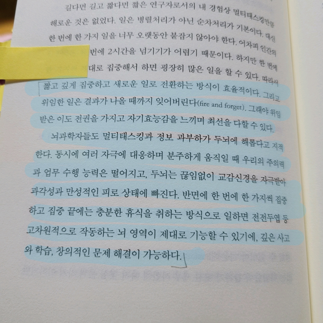 멋쟁이피노님의 게시물 이미지