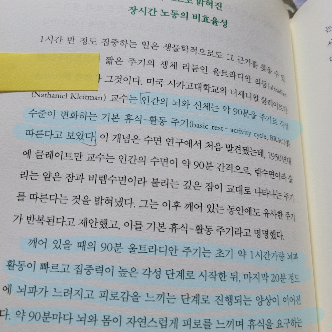 멋쟁이피노님의 게시물 이미지