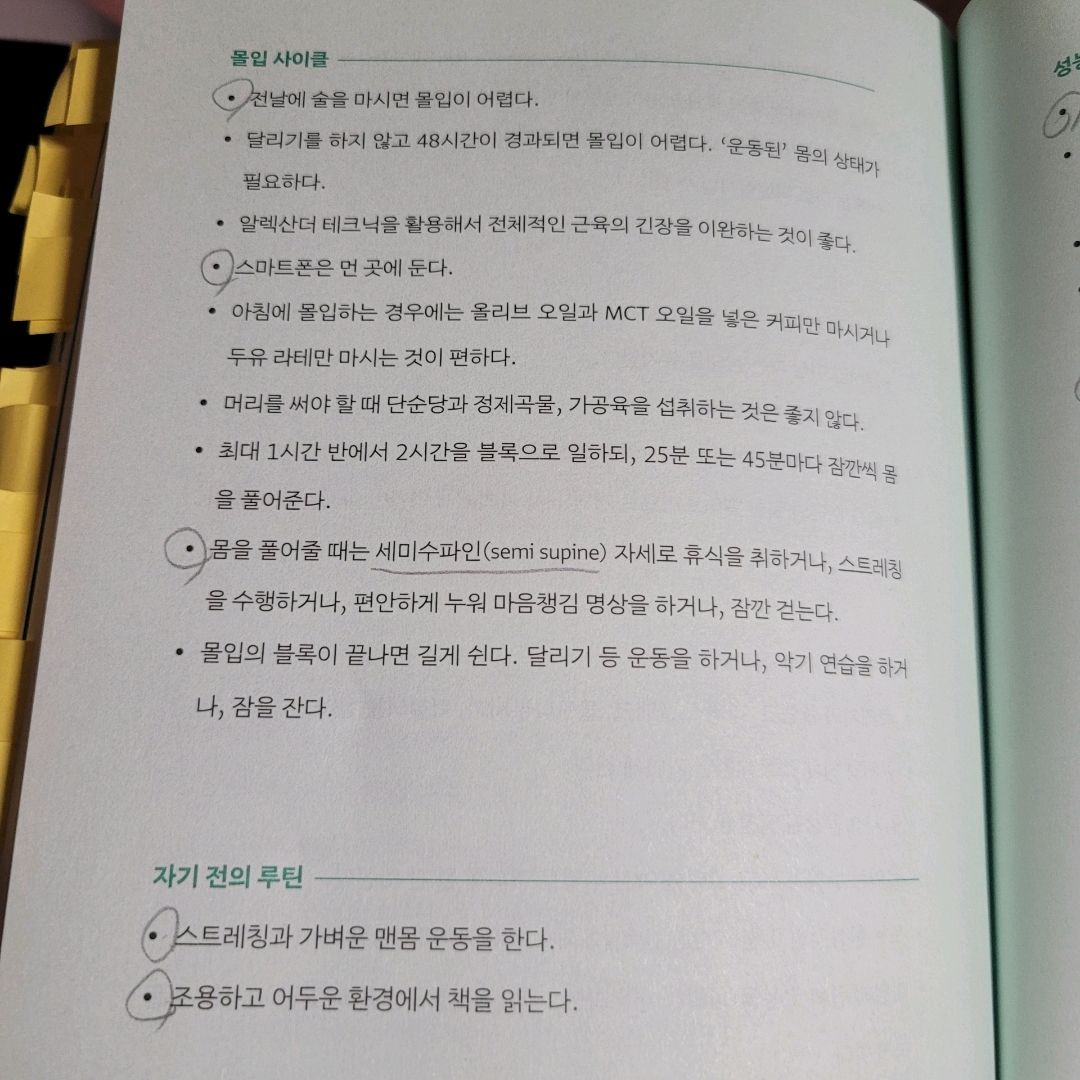 멋쟁이피노님의 게시물 이미지